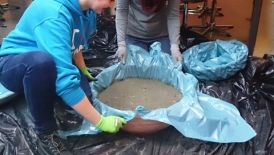 Floristen stellen Gefäße aus Beton her